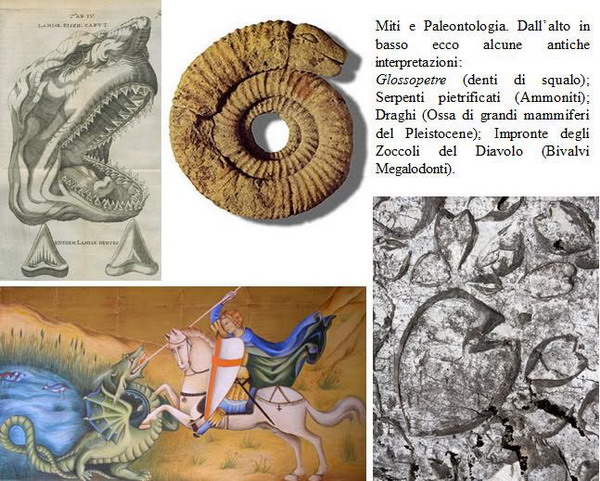Immagine riferita a: I miti della paleontologia